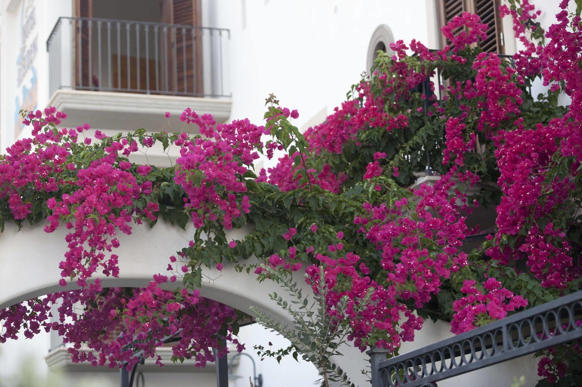 Hotel Residence Acquacalda Lipari  Zewnętrze zdjęcie